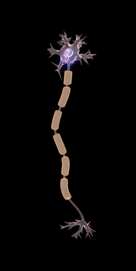 axongif